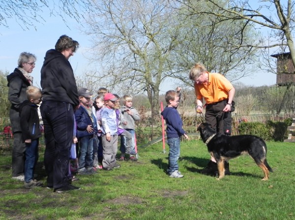 KiTabei Hundeschule1