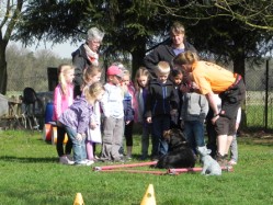 KiTabei Hundeschule2