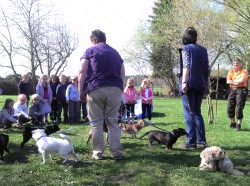 KiTabei Hundeschule3